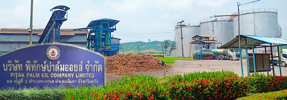 pitak-palm-oil-banner.jpg